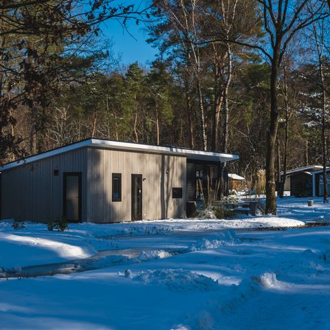 BUNGALOW 4 personnes - Forest Lodge