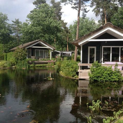 LODGE 4 personnes - Meerkoet