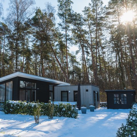 BUNGALOW 6 personnes - Forest Lodge