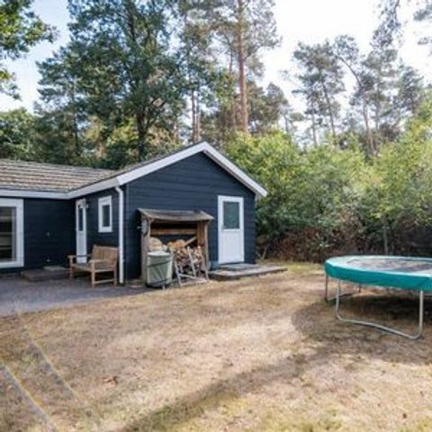 CHALET 4 personnes - Nature