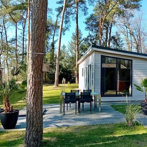 LODGE 3 personnes - Forest Lodge Le bel endroit