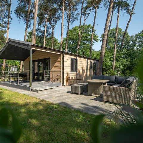 Bospark Markelo - Camping Hof von Twente - Image N°6