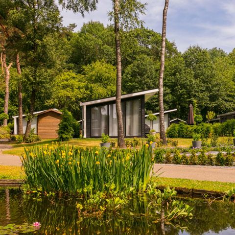 Bospark Markelo - Camping Hof von Twente - Image N°3