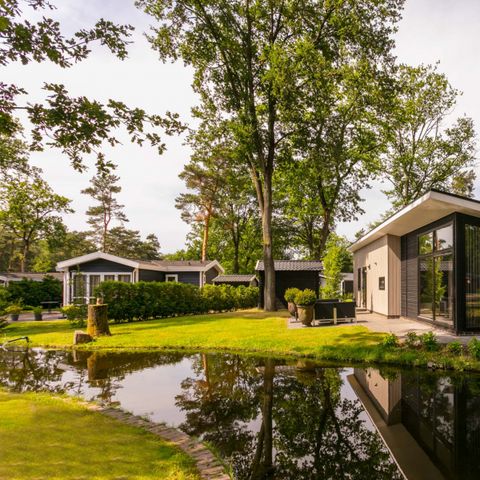 Bospark Markelo - Camping Hof von Twente - Image N°2