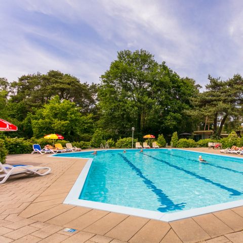 Bospark Markelo - Camping Hof von Twente - Image N°5