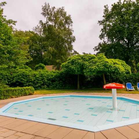 Bospark Markelo - Camping Hof von Twente - Image N°4