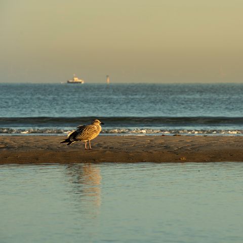 CHALET 6 personnes - Vacances d'été de rêve
