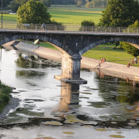 Vakantiedorp Noiseux - Camping Namur - Image N°4