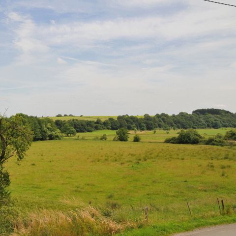 Vakantiedorp Noiseux - Camping Namur - Image N°5