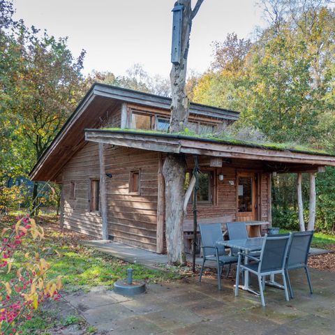 MAISON 6 personnes - Nature Lodge