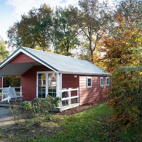 MAISON 4 personnes - Forest Lodge