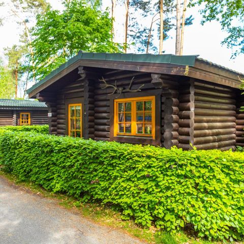 MAISON 5 personnes - Boekhorst