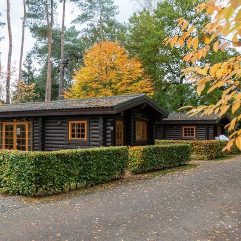 CHALET 4 personnes - Boekhorst