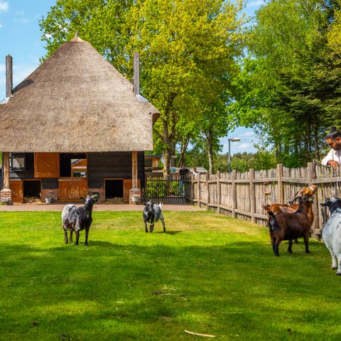 EuroParcs De Wije Werelt - Camping Ede - Image N°2