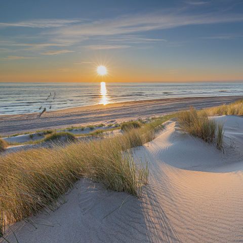 Landal Vlieduyn - Camping Vlieland - Image N°4