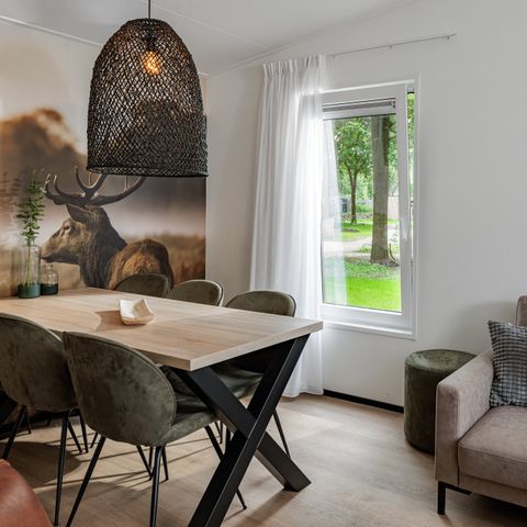 LODGE 6 personnes - Animaux de la cabane forestière