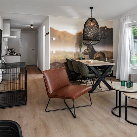 LODGE 6 personnes - Animaux de la cabane forestière