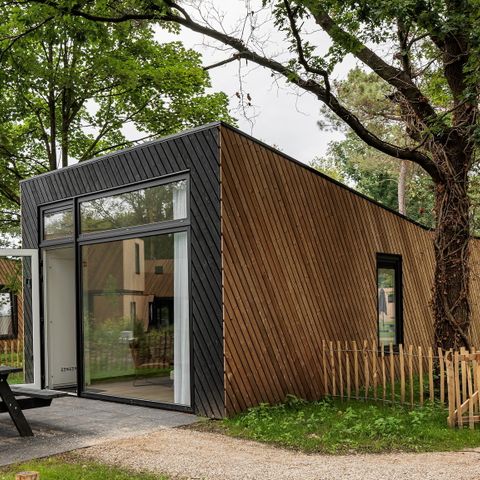 LODGE 6 personnes - Animaux de la cabane forestière