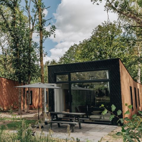 LODGE 6 personnes - Cabane forestière