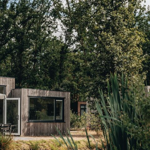 LODGE 4 personnes - Pavillon d'eau