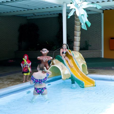 Vakantiepark De Ossenberg - Camping Utrechtse Heuvelrug - Image N°3