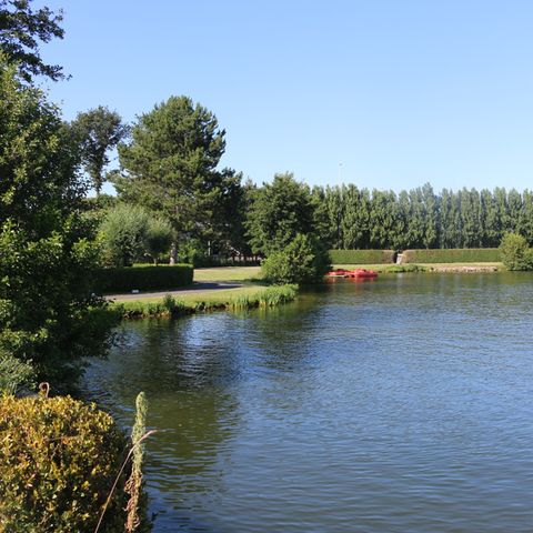 Holiday Suites Klein Strand - Jabbeke - Camping Flandre Occidentale - Image N°6