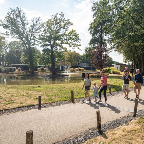 Landal De Vlinderhoeve - Camping Lochem - Image N°5