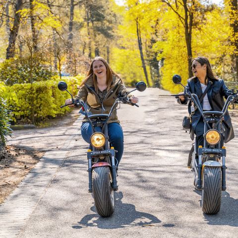 EuroParcs Bad Meersee - Camping Cadzand - Image N°2