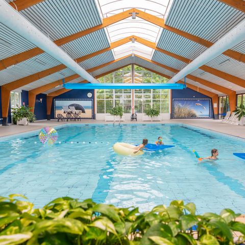 Campanula - Camping Schagen - Image N°3