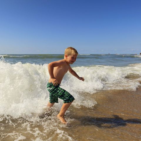 Campanula - Camping Schagen - Image N°2