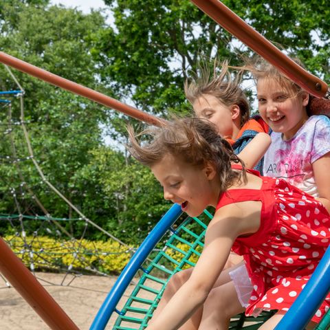 Campanula - Camping Schagen - Image N°4