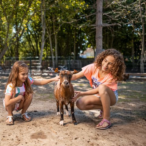 Center Parcs Park De Haan - Camping Flandre Occidentale - Image N°6