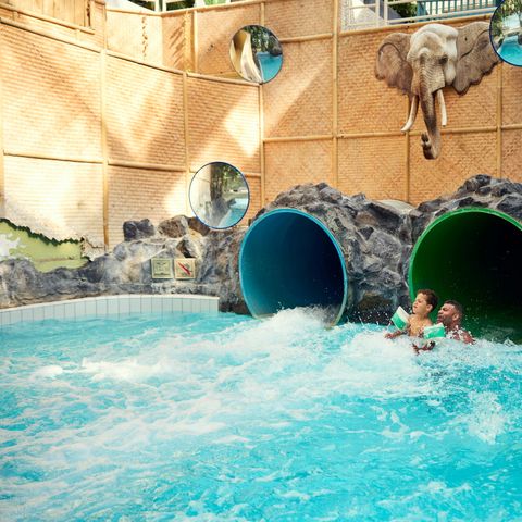 Center Parcs Park De Haan - Camping Flandre Occidentale - Image N°5