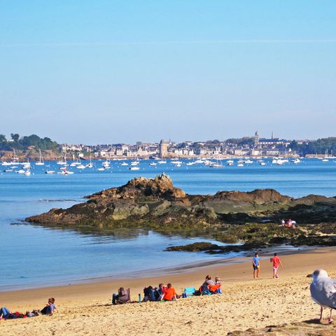 Résidence le Petit Robinson - Camping Ille-et-Vilaine - Image N°4