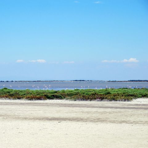 Residence Los Amigos - Camping Gard - Image N°4