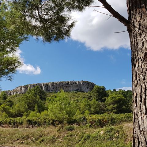 Residentie Les Balcons de la Méditerranée - Camping Aude - Image N°4