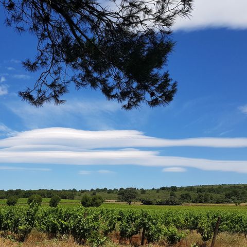 Residentie Les Balcons de la Méditerranée - Camping Aude - Image N°3
