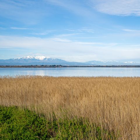 Residentie Copacabana - Camping Pyrénées-Orientales - Image N°3