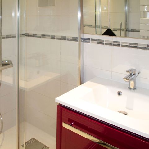 Residentie Le Petit Savoyard - Camping Haute-Savoie - Image N°3