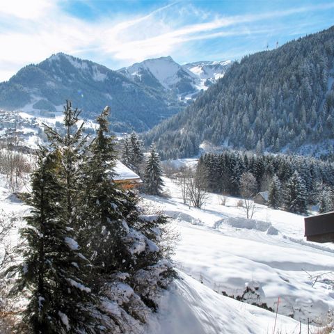 Residentie Le Petit Savoyard - Camping Haute-Savoie - Image N°4