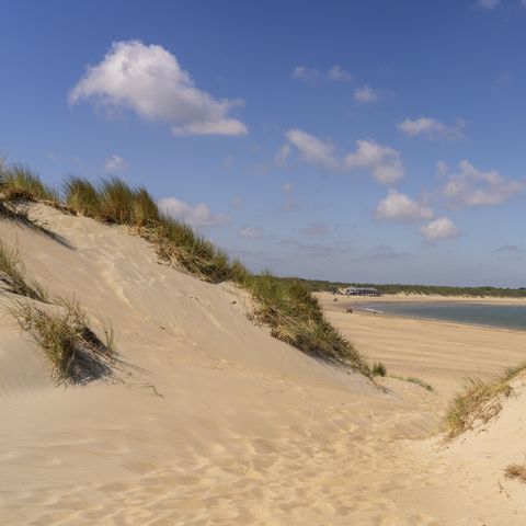 Landal Vakantiepark Bos en Duin - Camping Veere - Image N°2