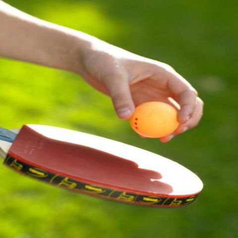 Roompot Vakantiepark Bos en Duin - Camping Veere - Image N°5