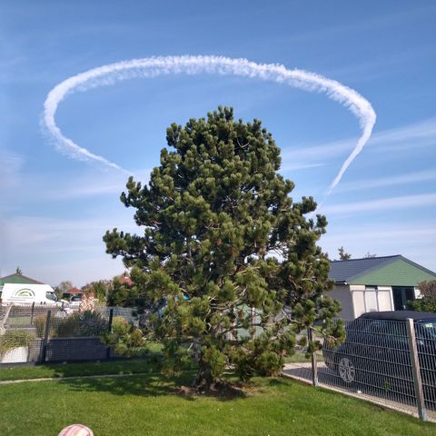 BUNGALOW 5 personnes - 32