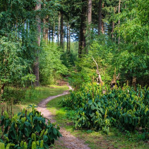 HÉBERGEMENT INSOLITE 4 personnes - Confort
