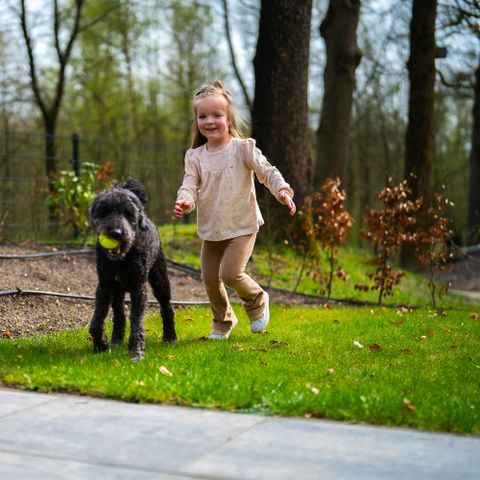 De Rimboe & Woeste Hoogte - Camping Apeldoorn - Image N°4