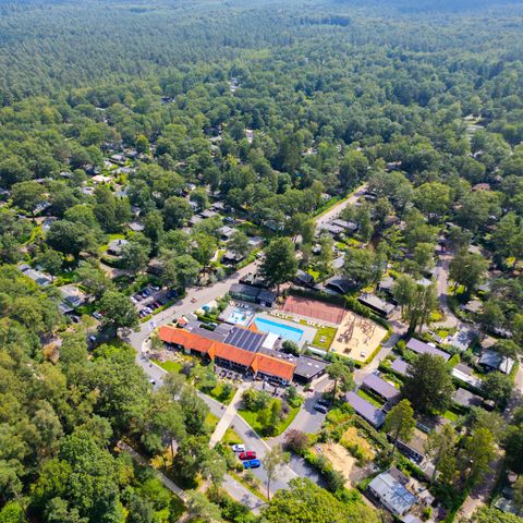 De Rimboe & Woeste Hoogte - Camping Apeldoorn - Image N°5