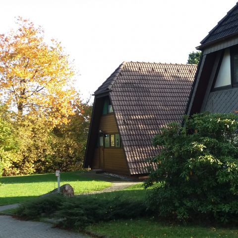 Feriendorf Waldbrunn - Camping Bade-Wurtemberg - Image N°4