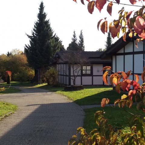 Feriendorf Waldbrunn - Camping Bade-Wurtemberg - Image N°5