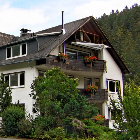 Sonnenhof Willingen - Camping Hesse - Image N°3