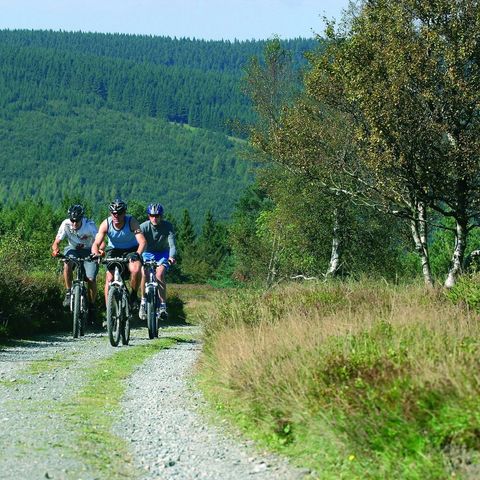 Aparthotel Jägerhaus - Camping Hesse - Image N°4